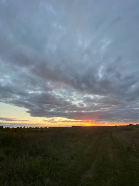 istock Beautiful sunset in the field with dramatic cloudy sky 1365876397