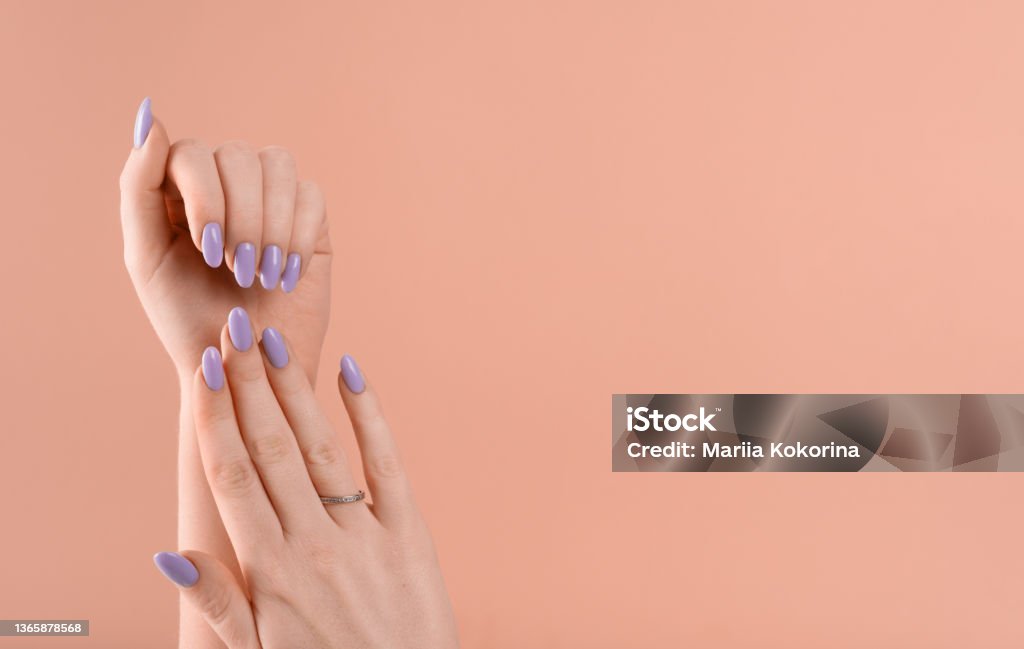 Hands of a beautiful well-groomed violet lavender nails gel polish on a beige background Hands of a beautiful well-groomed with feminine violet lavender nails gel polish on a beige background. Manicure, pedicure beauty salon concept. Fingernail Stock Photo