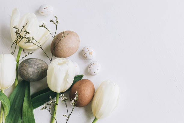 istock Stylish Easter eggs and tulips border on rustic white wooden background with space for text. Happy Easter! Natural dyed eggs and spring flowers composition. Greeting card 1365878608