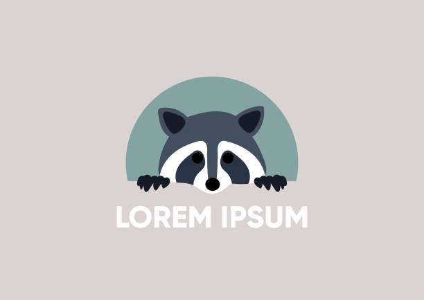 логотип енота с текстовым заполнителем, шаблон метки - raccoon stock illustrations