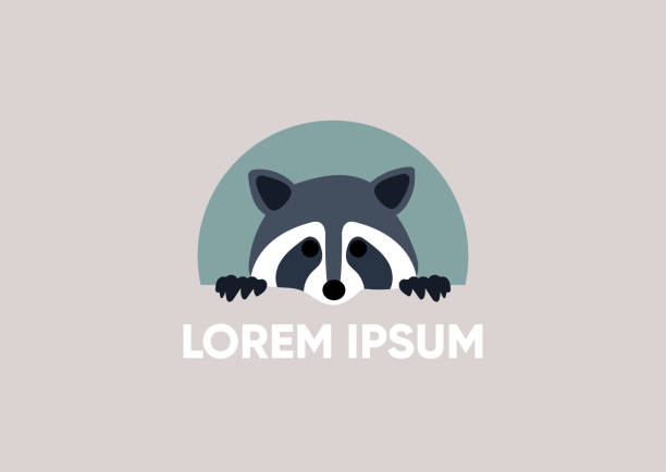 A raccoon logo with a text place holder, a label template A raccoon logo with a text place holder, a label template raccoon stock illustrations