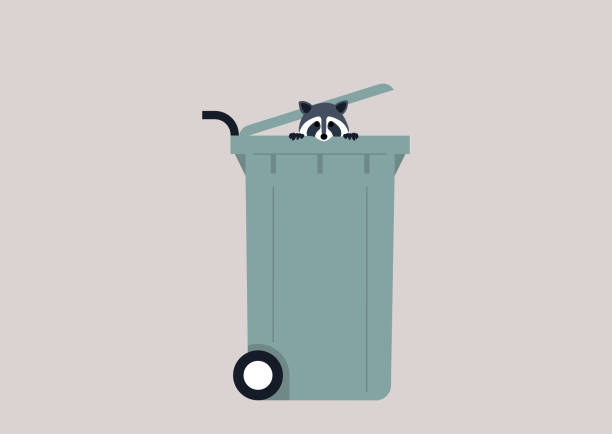 illustrazioni stock, clip art, cartoni animati e icone di tendenza di un simpatico procione che fa capolino da un bidone della spazzatura - garbage can