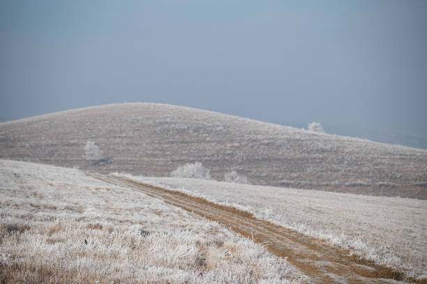 istock Abstract frozen grass and dirt road 1365884617