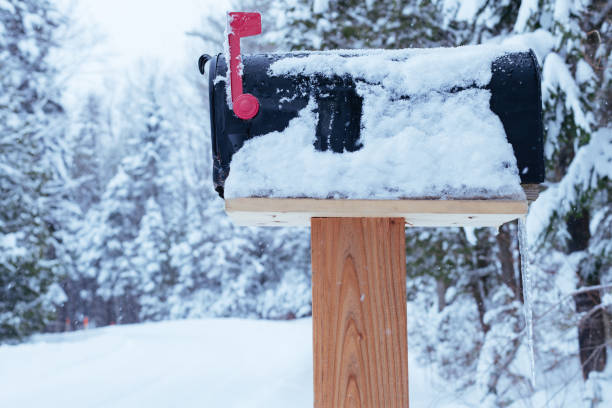 istock Frozen Mailbox at the side of street 1365885071
