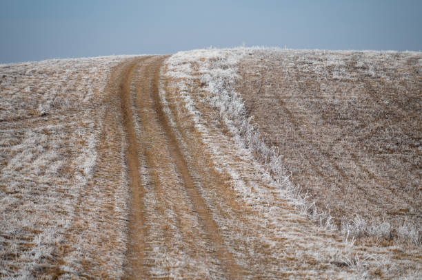istock Abstract frozen grass and dirt road 1365885095