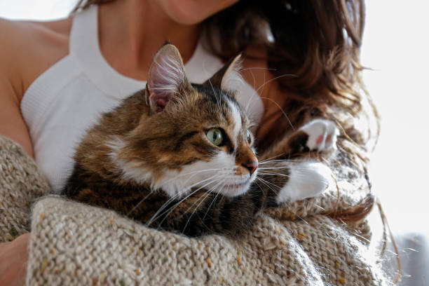 istock Woman and a cat 1365890628