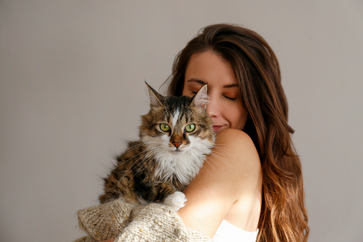 Portrait of young woman holding cute siberian cat with green eyes. Female hugging her cute long hair kitty. Background, copy space, close up. Adorable domestic pet concept.