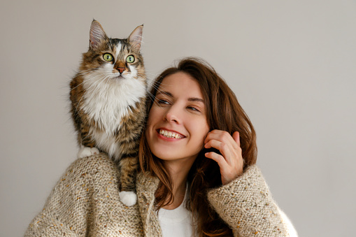 Portrait of young woman holding her siberian cat with green eyes. Female and cute long hair kitty sitting on her shoulder. Background, copy space, close up. Adorable domestic pet concept.