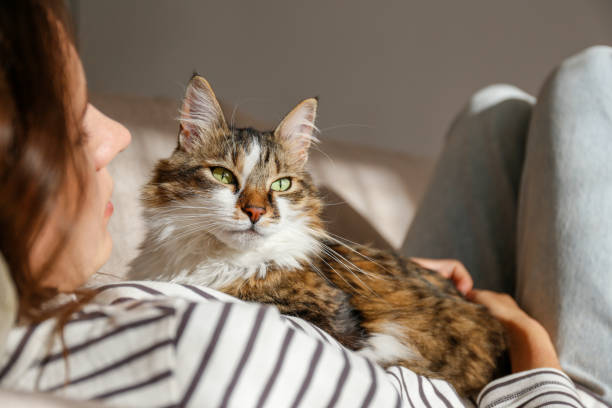 Woman and a cat