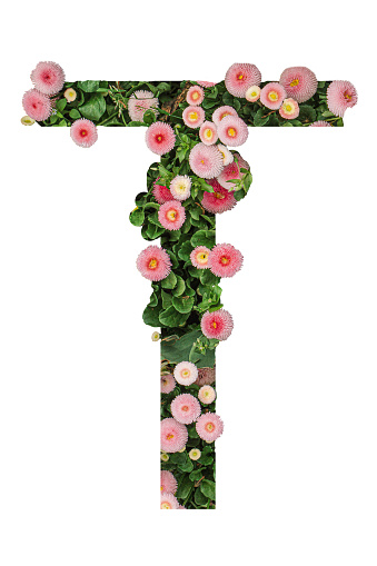 Letter T made of real natural flowers and leaves. Flower font concept. Unique collection of letters and numbers. Spring, summer and valentines creative idea