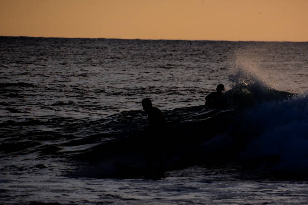 istock Surfer at sunset on a calm ocean 1365896217