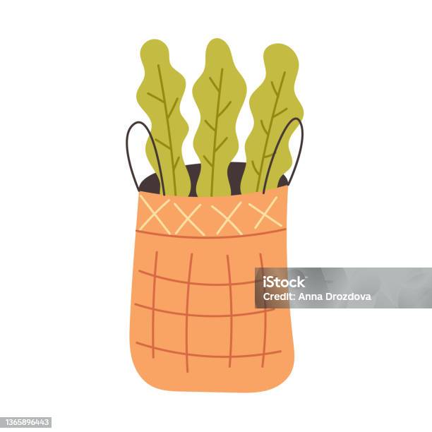 Cartoon Cactus Character with Flower and Cute Face. Kawaii Potted Plant  Vector Illustration Ilustração do Vetor - Ilustração de casa, divertimento:  147718182