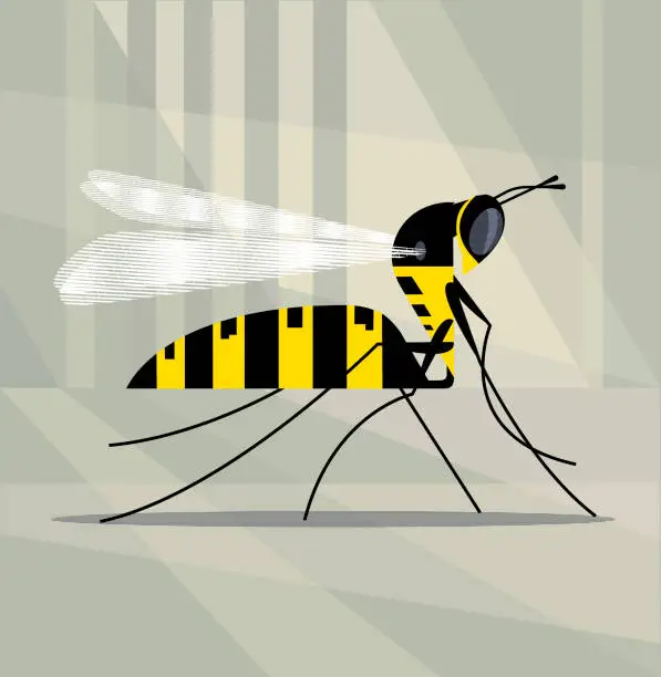 Vector illustration of Graceful wasp