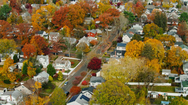 Drone View of Suburban Streets in Fall in Stamford, CT Aerial shot of a residential neighborhood in Stamford, Connecticut on a sunny day in Fall, looking down on houses and vibrant autumn leaf color on the trees. connecticut stock pictures, royalty-free photos & images