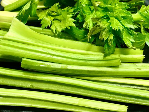 Fresh Celery stock photo