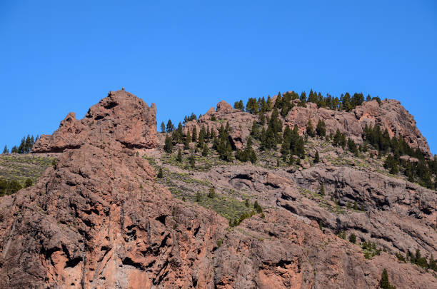istock Volcanic Rock Basaltic Formation in Gran Canaria 1365900746