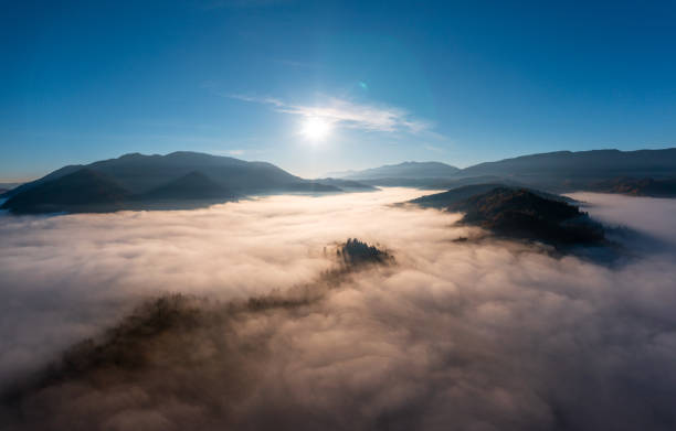 istock Mountains with colorful trees covered with layer of fog 1365901806