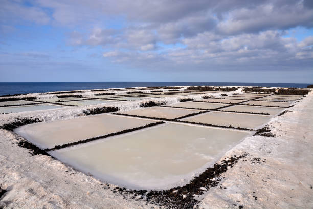 istock Salt Flats in the Canry islands 1365903915