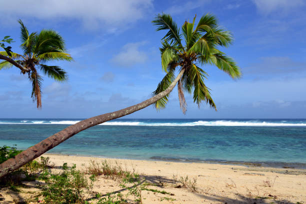 Ha'atafu, Tongatapu island, Tonga: Ha'atafu Beach, coral sand beach protected by a reef, perfect for swimming and snorkelling - northwest end of Tongatapu island, near Abel Tasman's Landing Site.