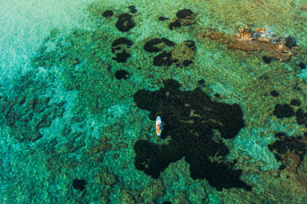 luftaufnahme des männlichen paddleboardings im türkisfarbenen meer auf der insel zakynthos, griechenland - tranquil scene joy vacations high angle view stock-fotos und bilder