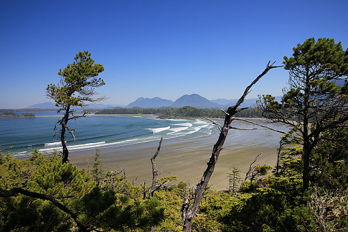 Aerial view of Cox Bay beach in Tofino with ocean waves and mountains in background during low tide.