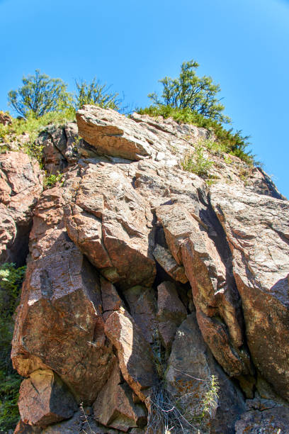 istock rocky cliff with cracks with trees on the top 1365905048