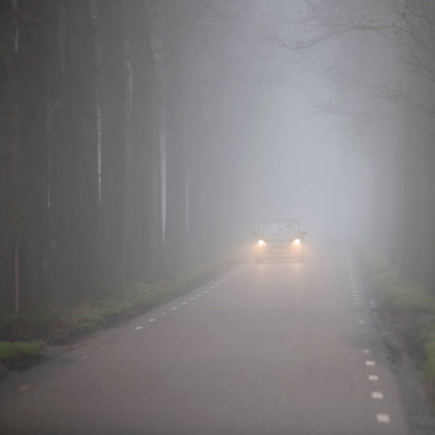 istock car on dutch country road between rows of trees in mist 1365905236