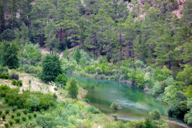 Aerial View of River