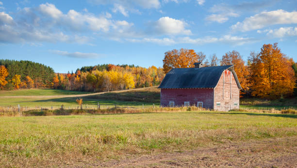 un viejo granero en un campo con árboles de color otoñal en una tarde brillante en la zona rural de michigan - granja fotografías e imágenes de stock