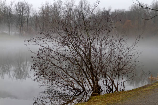 istock Ghostly Mist Shrouds a Lake in Winter 1365906816