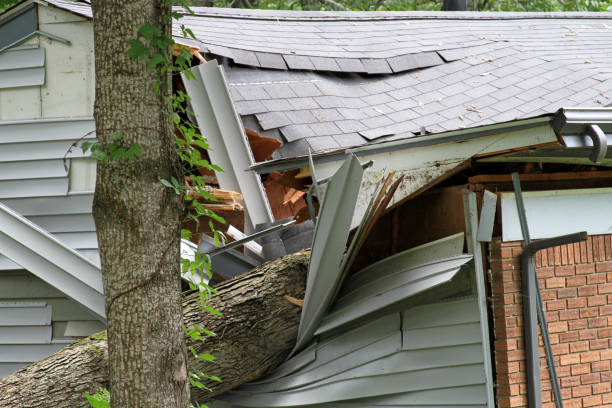 Tree Falls Ripping Into the Side of a House Destroying It stock photo