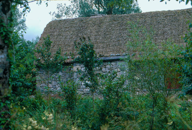 escaneo de película positiva antigua, bunratty folk park, vista de una cabaña con techo de paja en el condado de clare, irlanda - cottage irish culture thatched roof banratty castle fotografías e imágenes de stock