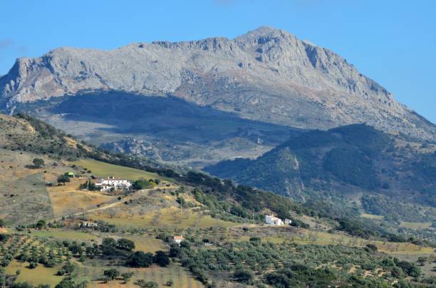 istock Villanueva de la Concepcion and around 1365908976