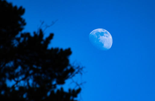 Moon in the blue sky