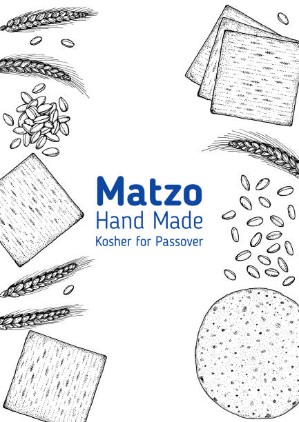 ilustrações de stock, clip art, desenhos animados e ícones de matzo cooking and ingredients for matzo, sketch illustration. middle eastern cuisine frame. traditional passover food, design elements. hand drawn, menu and package design. jewish food. - passover seder judaism afikoman