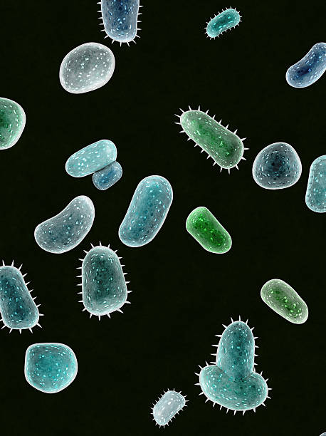istock Colony of dangerous bacteria 136591209