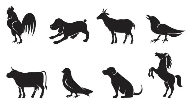 Vector illustration of Domestic animals icon set