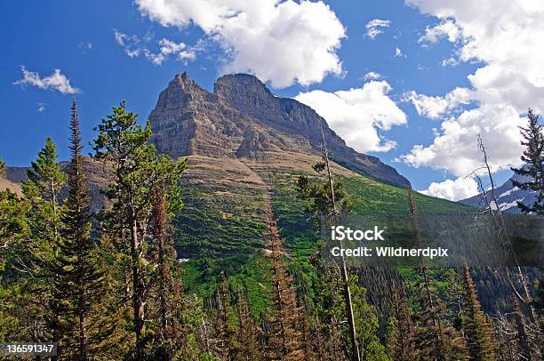 Picchi Raggiungere Il Cielo - Fotografie stock e altre immagini di Ambientazione esterna - Ambientazione esterna, Area selvatica, Bellezza naturale