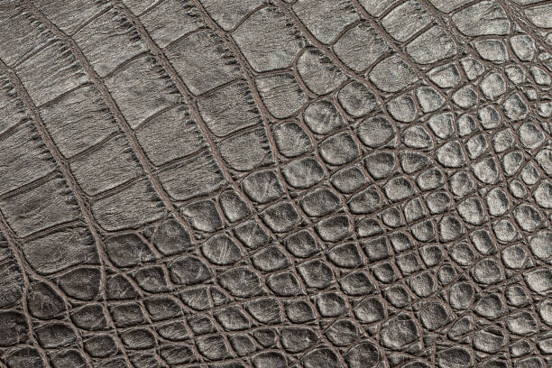istock Artificial crocodile-like leather texture. Imitation of African animal skin for patterned background 1365913552