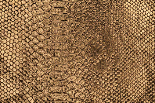 The textured background of a fake snakeskin texture. Golden scale pattern of a reptile.