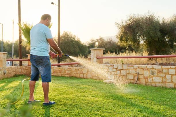 mężczyzna podlewający trawnik wężem rano - standing water grass area meadow lawn zdjęcia i obrazy z banku zdjęć