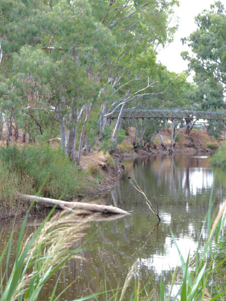 istock Horsham,  Victoria, Australia 1365917608