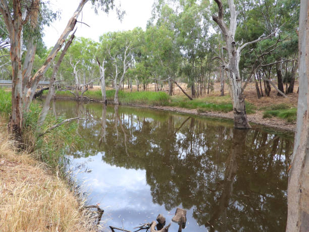 istock Horsham,  Victoria, Australia 1365917639