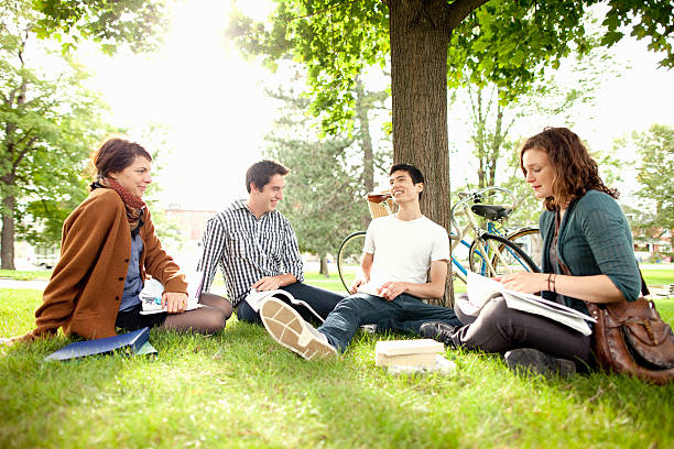 studenten studieren auf gras im park - parks canada stock-fotos und bilder