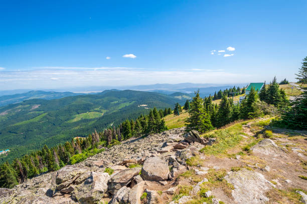 vista del área de spokane, washington desde la cima del monte spokane. - spokane fotografías e imágenes de stock