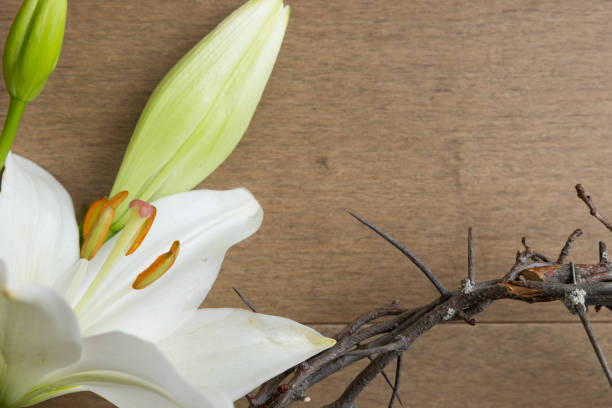 White lily flower and partial Christian crown of thorns on a light wood background with copy space