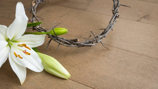istock White lily and crown of thorns 1365923374
