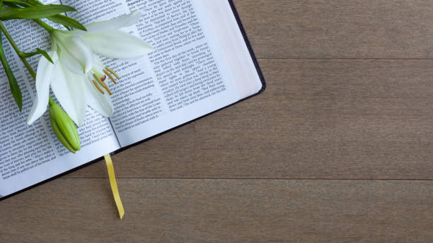 weiße lilie auf offener bibel - madonnenlilie stock-fotos und bilder
