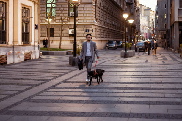 istock Businessman with a dog on a leash 1365924847