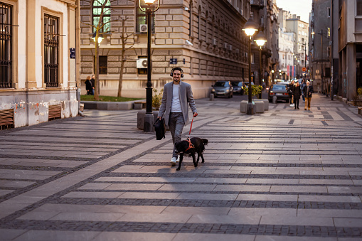Businessman in the city. Confident young man walking outdoor in suit with dog